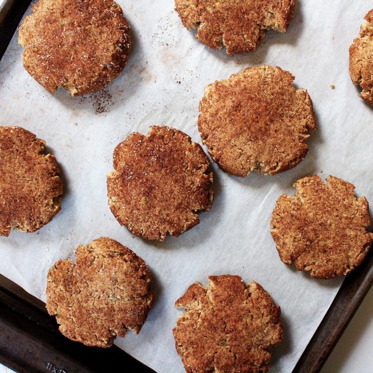 Low-Carb Snickerdoodle Cookies