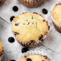 Low-Carb-Chocolate-Chip-Muffins2