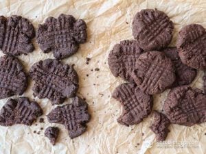 thirteen pieces - 5 Ingredient Keto Chocolate Cookies resting on parchment paper