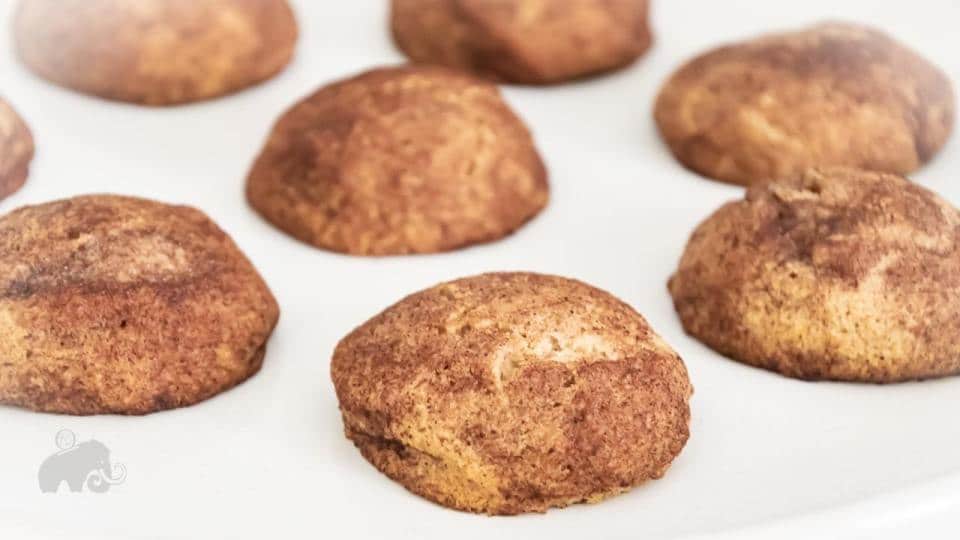 keto snickerdoodl ecookies lined up on a white surface