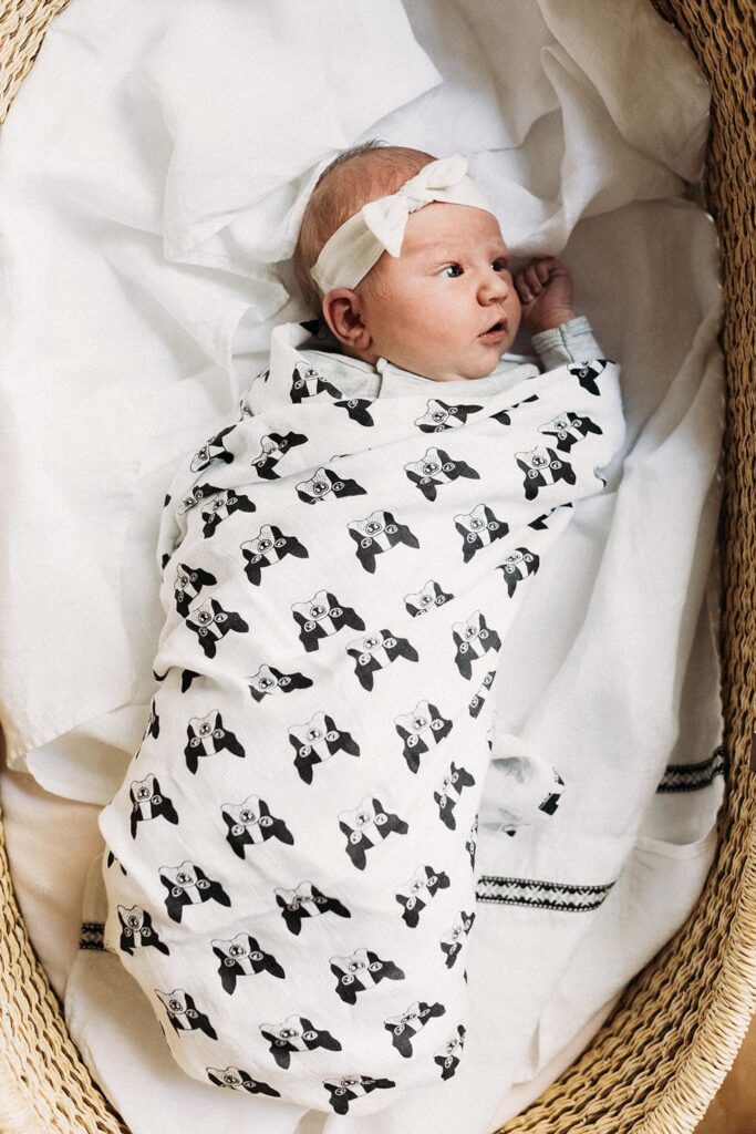 Boston Terrier Baby Swaddle from Etsy