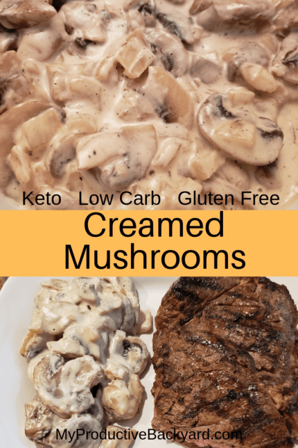 Low Carb Mushroom Recipes That Are Deliciously Simple and Satisfying