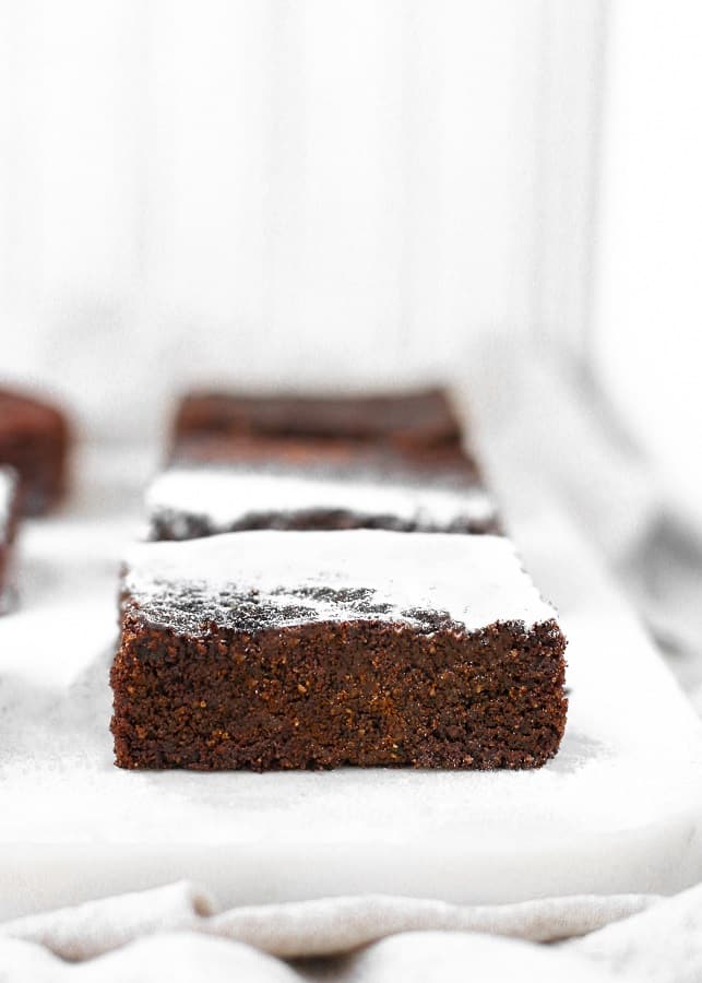 close up shot of low carb brownies dusted with powdered monk fruit sweetener