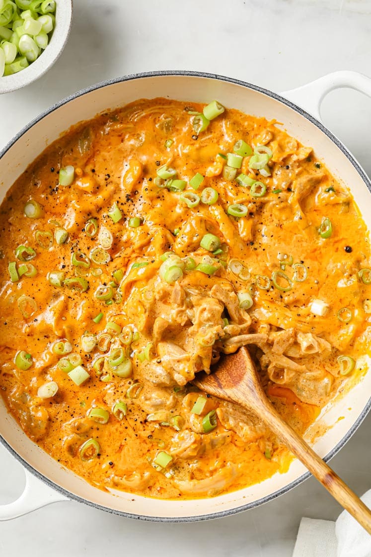 Green Chile Chicken With Leftover Shredded Chicken Thighs LaptrinhX 