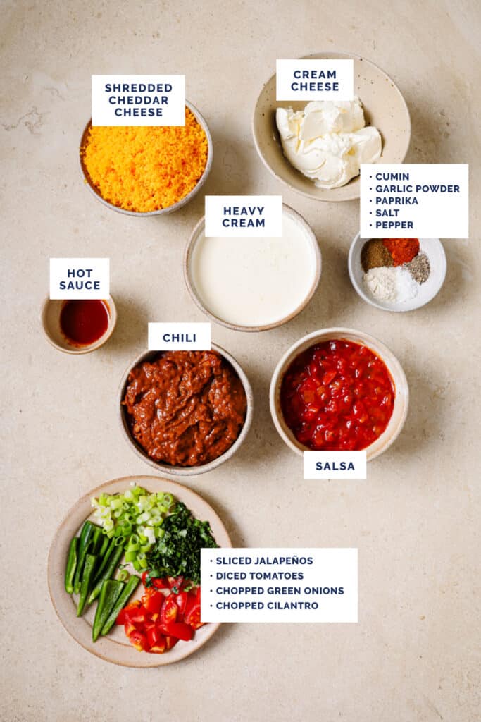 Labeled ingredients for the chili cheese dip recipe.