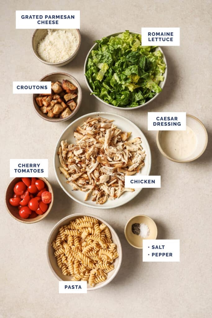 Labeled ingredients for the chicken Caesar pasta salad recipe.