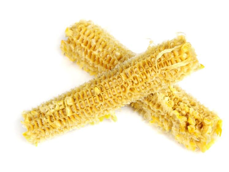 Fully eaten corn cobs