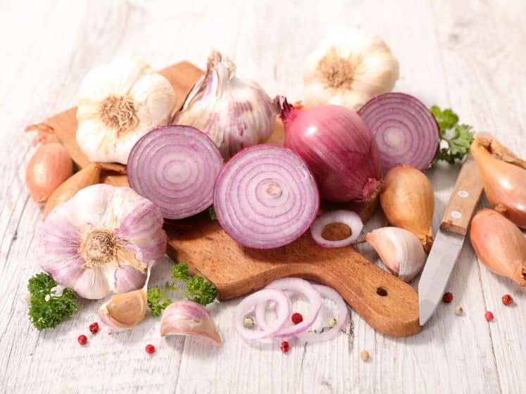 Close up on onion and garlic