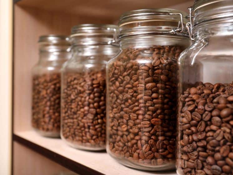 Glass storage jars full of whole coffee beans.