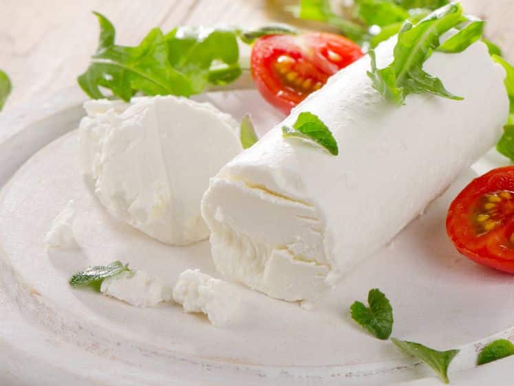 Cheese with fresh salad