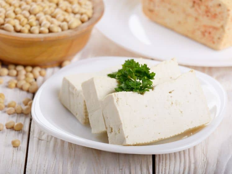 Soy bean curd tofu on clay dish closeup. Non-dairy alternative