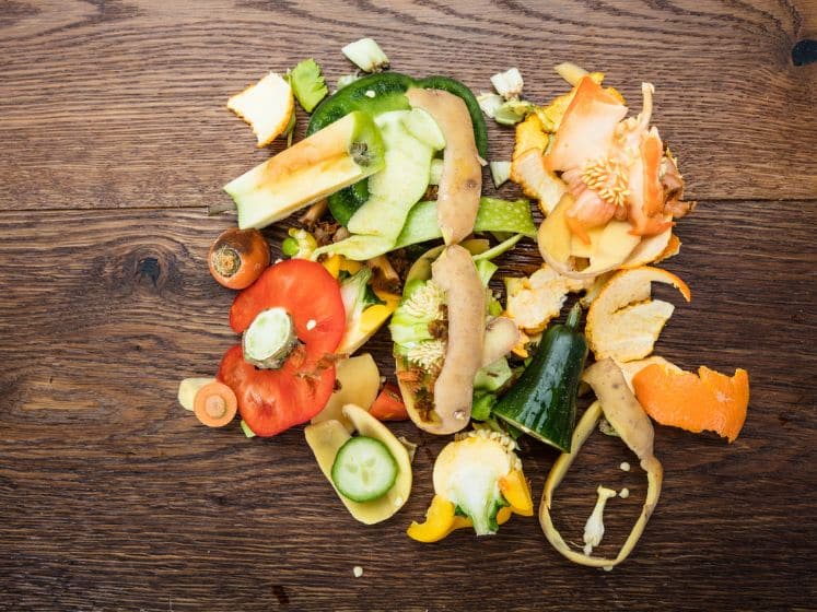 Vegetable and fruit peelings on wooden table