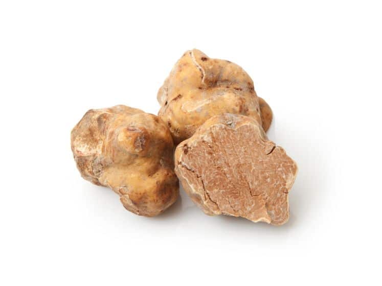 Original Italian white truffles in white background