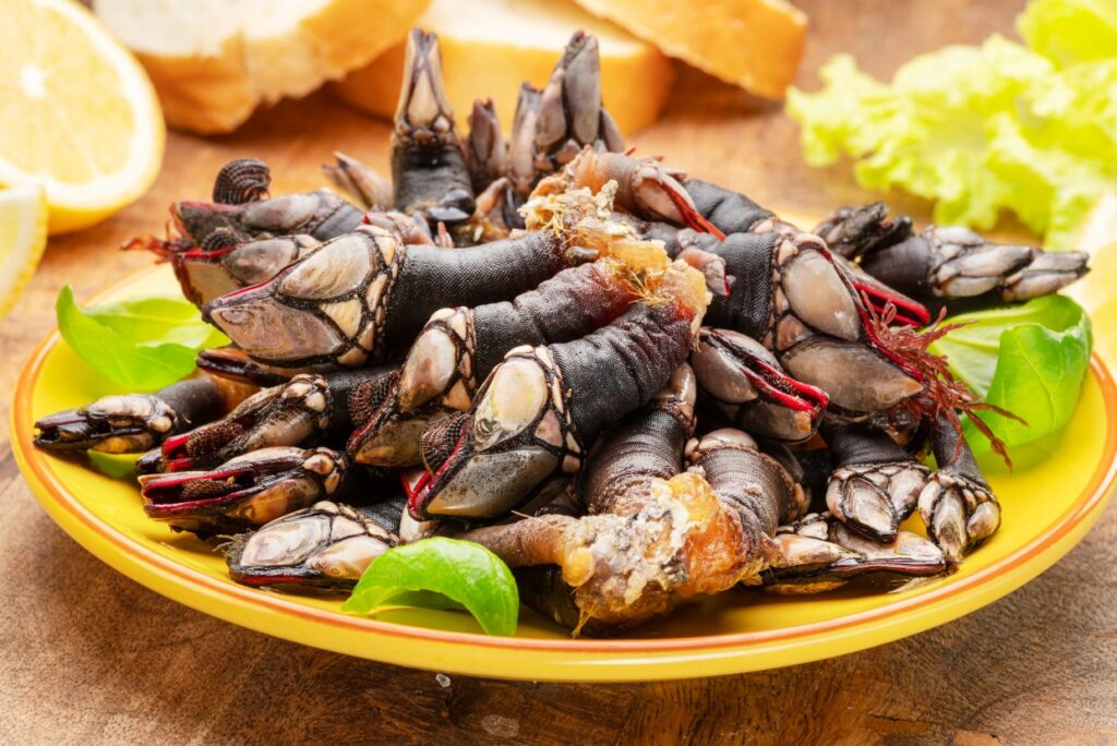 Gooseneck barnacles on a yellow plate.