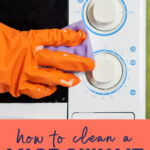 Pinterest graphic for the blog post: How To Clean a Microwave.