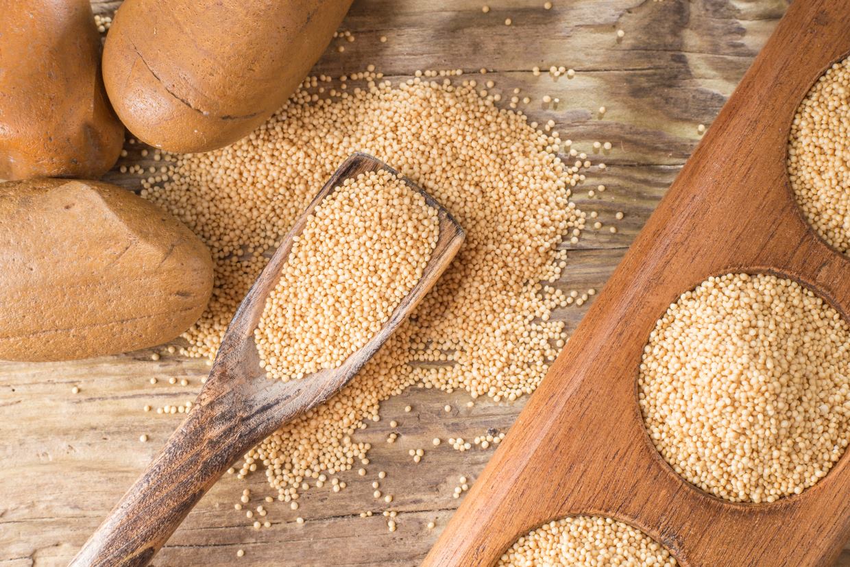 A wooden scoop filled with amaranth grains rests on a wooden surface. Some grains have spilled around the scoop. Two earthen pottery pieces and a wooden tray with circular compartments partially filled with grains complement the scene.