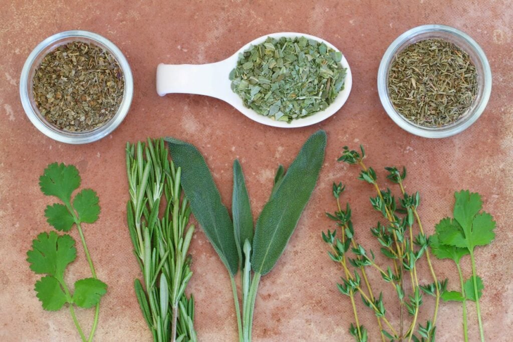 An assortment of herbs is displayed on a table: fresh cilantro, rosemary, sage, thyme, and parsley branches, alongside jars and a spoon containing dried herbs. The background is a terracotta-colored surface.