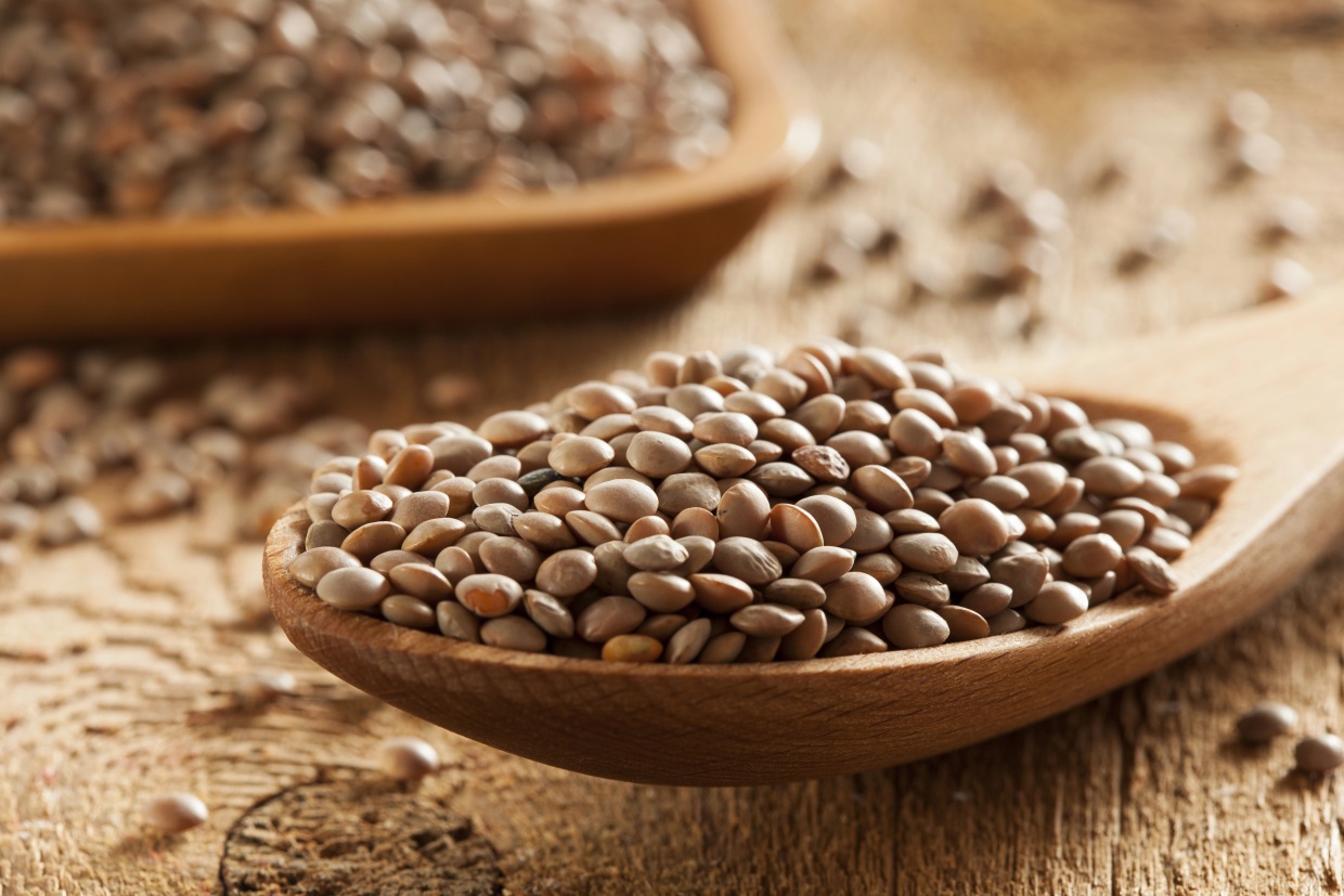 A wooden spoon filled with uncooked brown lentils rests on a rustic wooden surface. Another wooden bowl filled with more lentils is blurred in the background. The image highlights the simple, natural texture of the legumes.