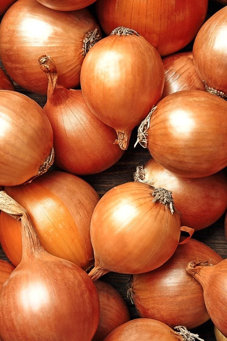 Close-up of a pile of brown onions with smooth, shiny skins and dry, papery tops. The tightly packed onions create a textured surface, highlighting their round shape and warm color.