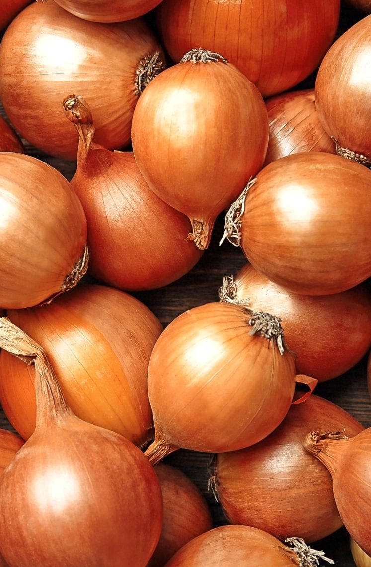 Close-up of a pile of brown onions with smooth, shiny skins and dry, papery tops. The tightly packed onions create a textured surface, highlighting their round shape and warm color.