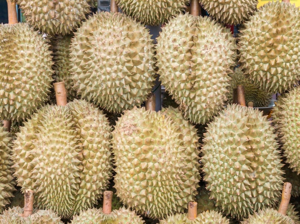 Several whole durian fruits with spiky greenish-yellow husks are stacked closely together, with some stems visible. The texture of the fruit’s thick, sharp spikes is prominent.
