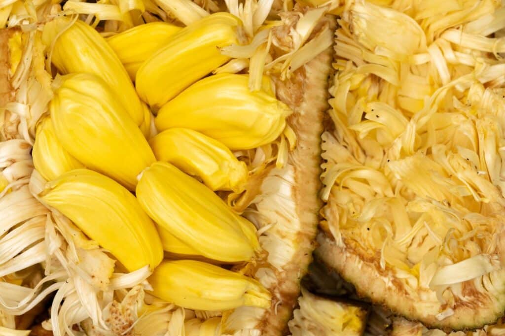Close-up of a jackfruit cut open, showing bright yellow, fleshy pods surrounded by fibrous, pale strands and rough outer skin. The fruit’s unique texture and vibrant color are clearly visible.