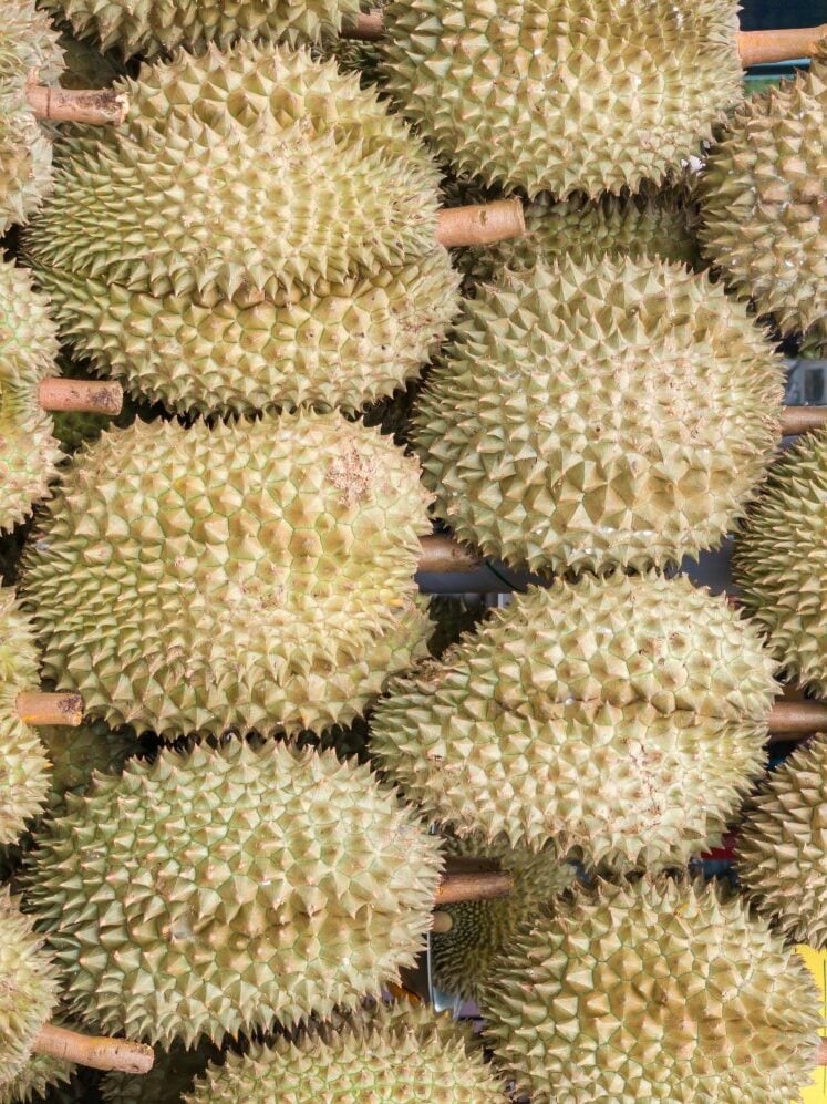 Several durian fruits with spiky, greenish-yellow husks are stacked closely together, with wooden sticks placed between the rows for support.