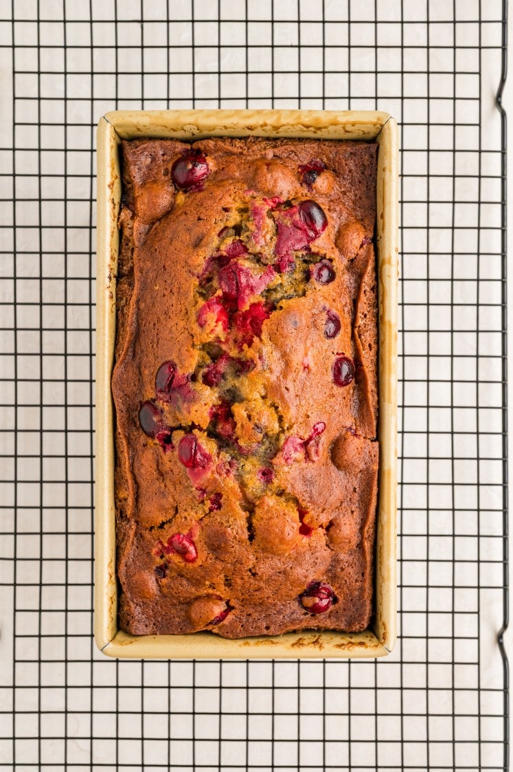 A freshly baked loaf of bread with cranberries on top sits in a rectangular pan on a wire cooling rack. The bread is golden brown with cracks and visible cranberries scattered on the surface.
