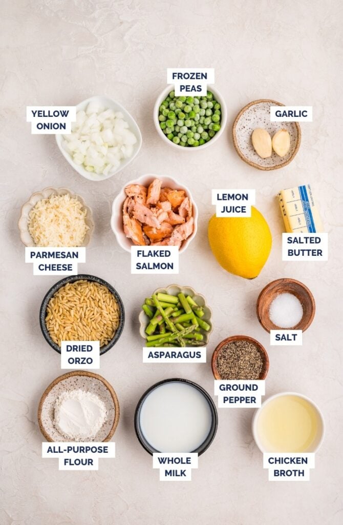 Ingredients needed to make creamy salmon orzo.