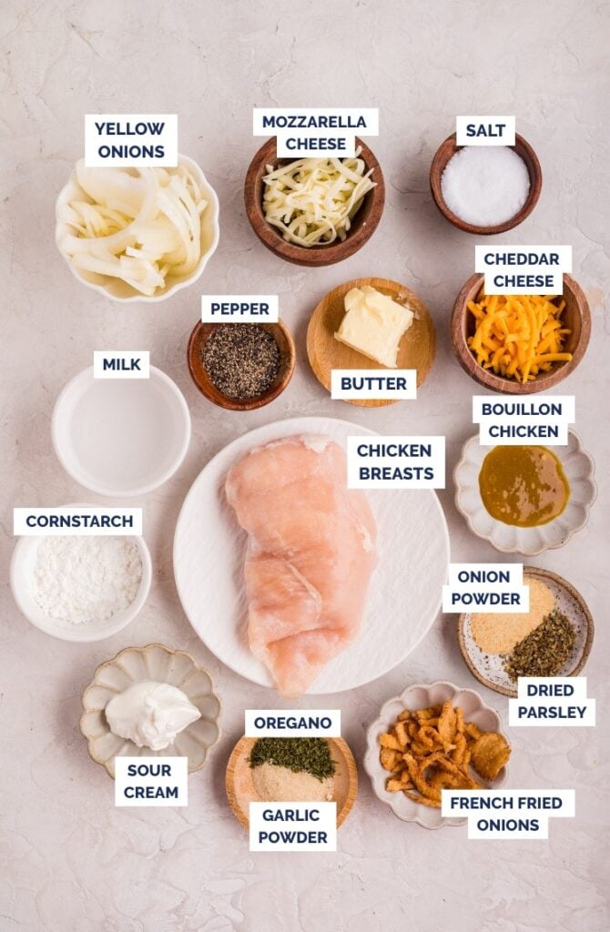 Ingredients laid out for French onion chicken casserole, including chicken, onions, cheeses, spices, milk, and fried onions.
