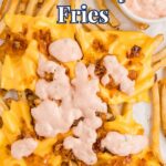 Fries topped with melted cheese, grilled onions, and a pink sauce, with extra sauce in a small cup on the side. Text reads "In-N-Out Animal Style Fries.