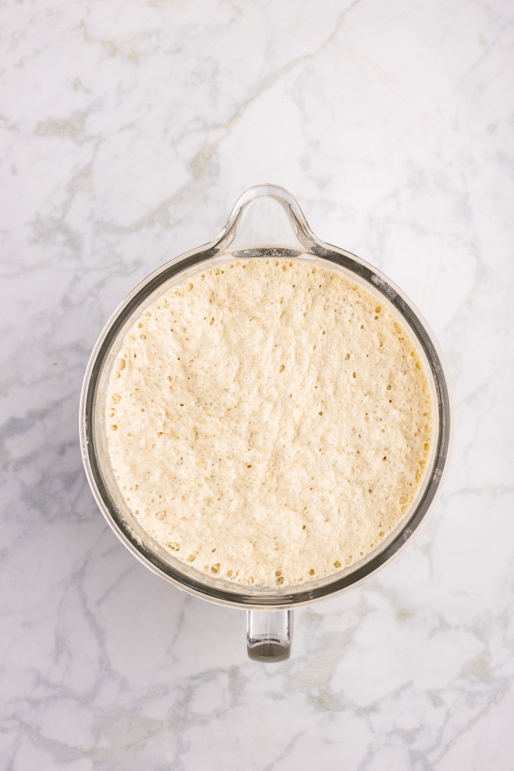 Risen rye dinner roll dough filling a clear mixing bowl, showing a bubbly, airy surface.