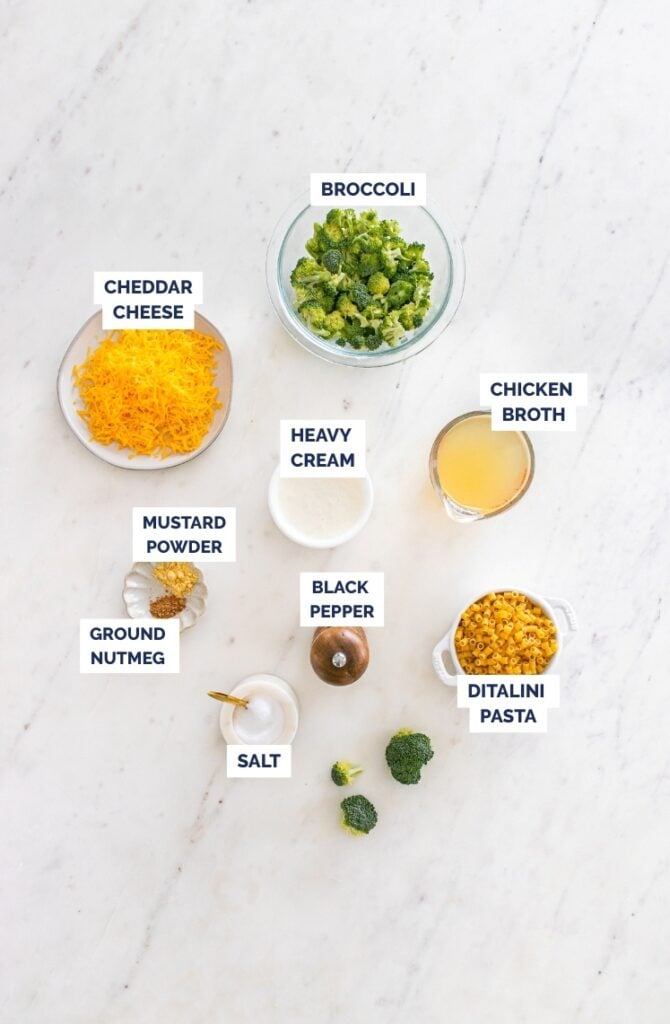 Flat lay of labeled ingredients for broccoli cheddar ditalini pasta, including shredded cheddar, broccoli florets, ditalini pasta, heavy cream, chicken broth, mustard powder, nutmeg, salt, and pepper.