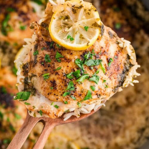 A wooden spoon lifting a seared chicken thigh topped with a lemon slice over a skillet of lemon rice.