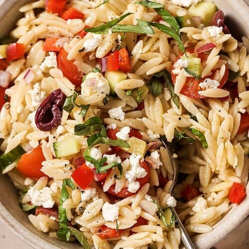 Italian Orzo Pasta Salad